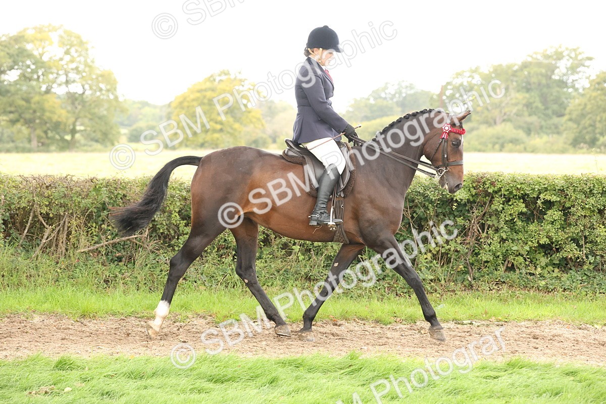 SBM_64158 - S65 - Riding Horse & Hack & Thoroughbred Ridden