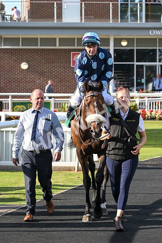 160924-Race 6-Count Palatine-3144 - Race 6