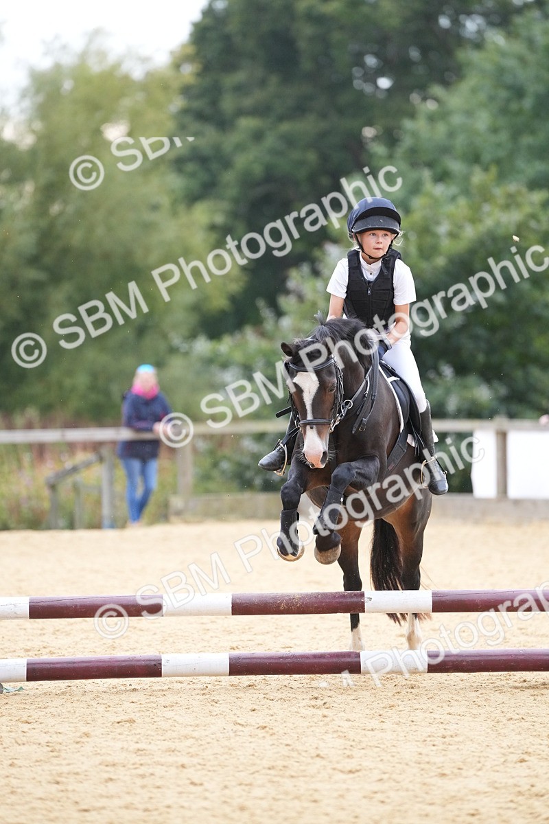 SBM_74596 - J4 - Mini Tour Junior Pony 45cm Championship