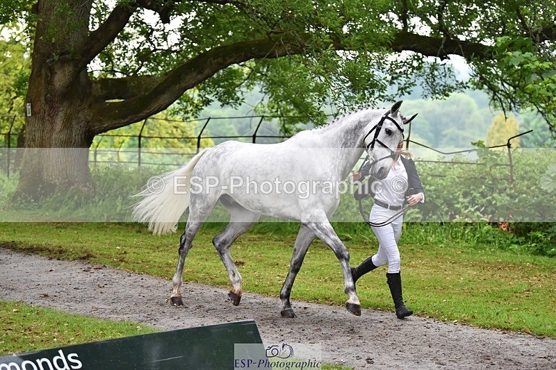 240522-164312-01108 - 267-VAN_KAUNITZ-Jemima_Howden