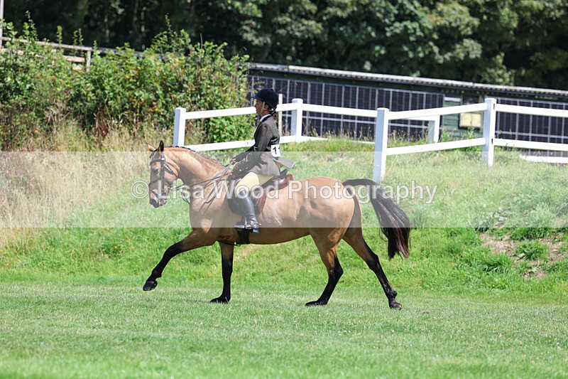 3E7A9204 - Working Hunter Championship