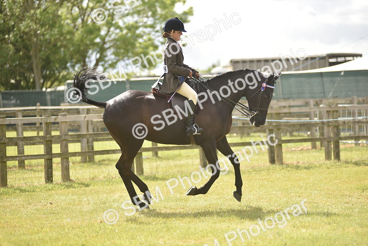 SBM_18111 - Class 122-123 - LIHS BHSA Raising Star Style and Performance Series