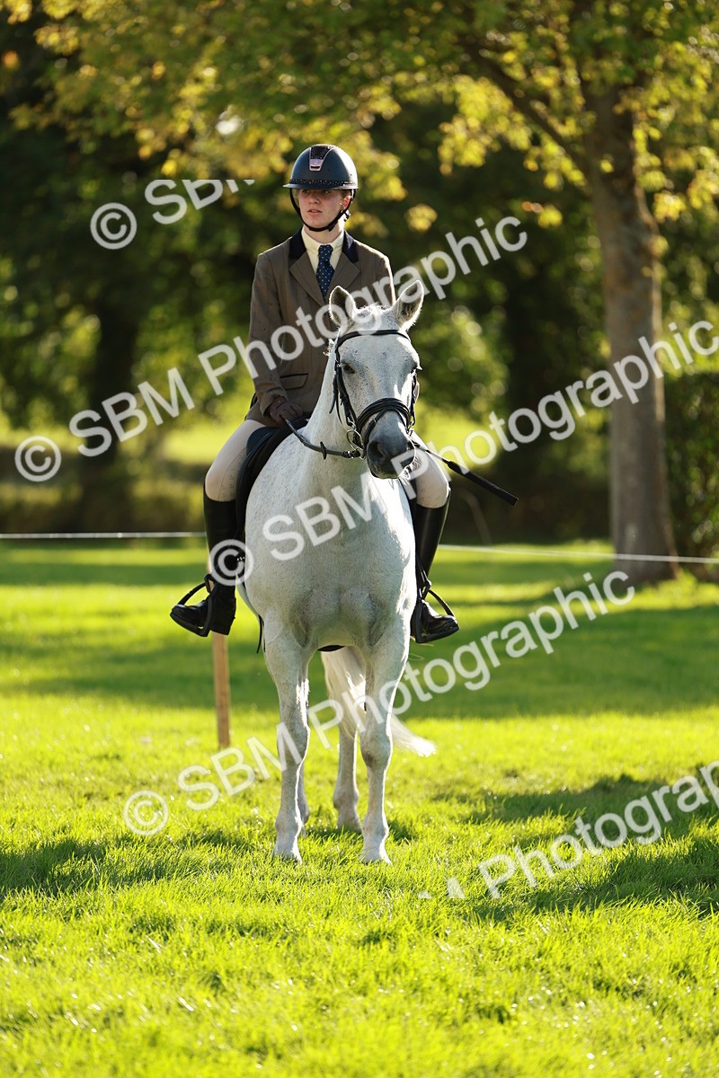 SBM_28704 - S7 - Novice & Newcomer Ridden Pony