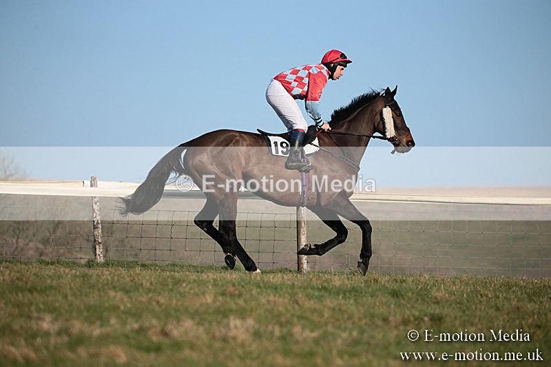 PtP 230219 483 - Vine & Craven Point-To-Point - Barbury 23/02/19