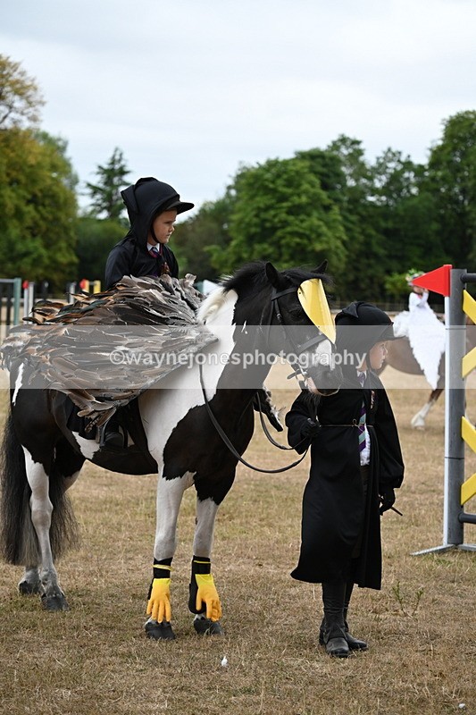 WJ6_8954 - Class 11 Fancy Dress