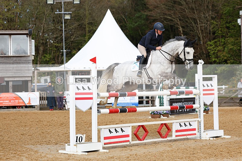 3E7A2280 - Class 8: Senior Foxhunter/1.20 open