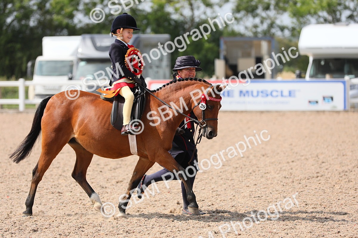 SBM_14126 - Class 309 Lead Rein Pony
