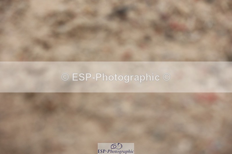 250621-092106-05989 - Cls 28 - Freestyle Novice