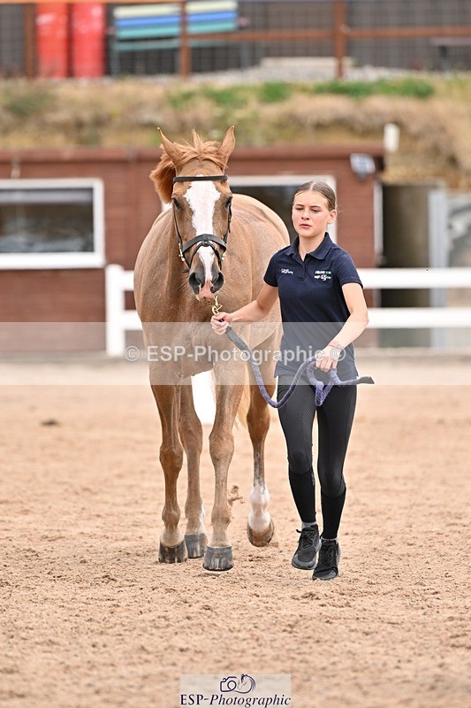 250716-153014-01969 - Trot Up 3.30 to 4.30