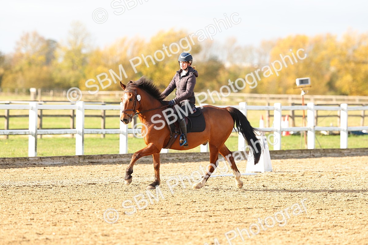 SBM_001220 - Class 13-4-9 - DR P3 CT P3 70cm CT PYO