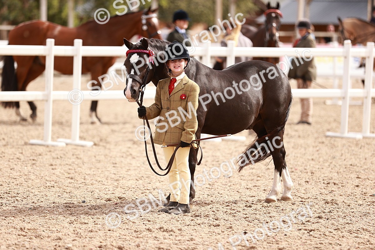 SBM_18387 - Class 418 - Best Condition - Jnr