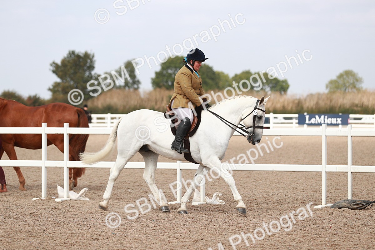 SBM_14799 - Class 212 Ridden Hunter - Small