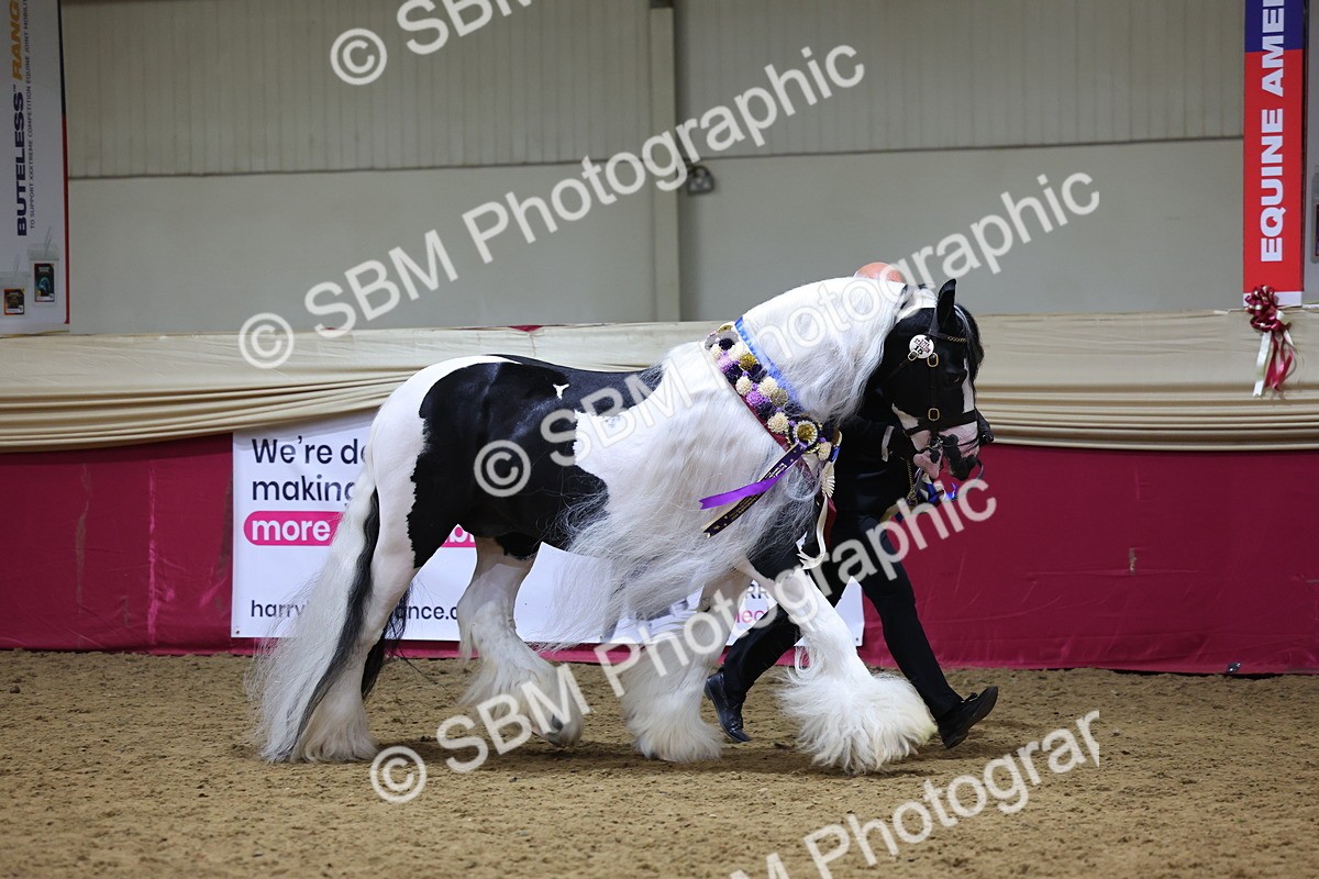 SBM_18663 - Class C Best Turned Out Champ