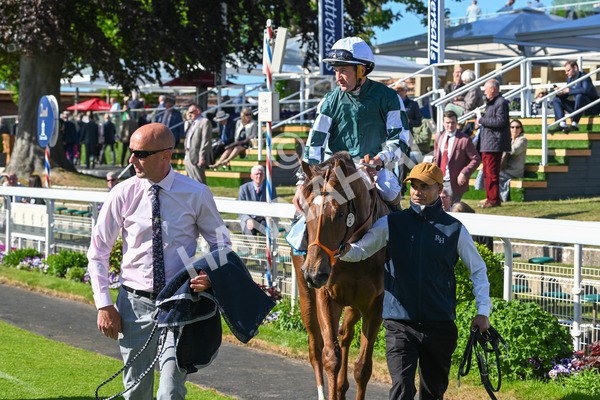 140525-Race 6-Ballistic Missile-2931 - Race 6 4.55pm British Stallion Studs EBF Novice Stakes