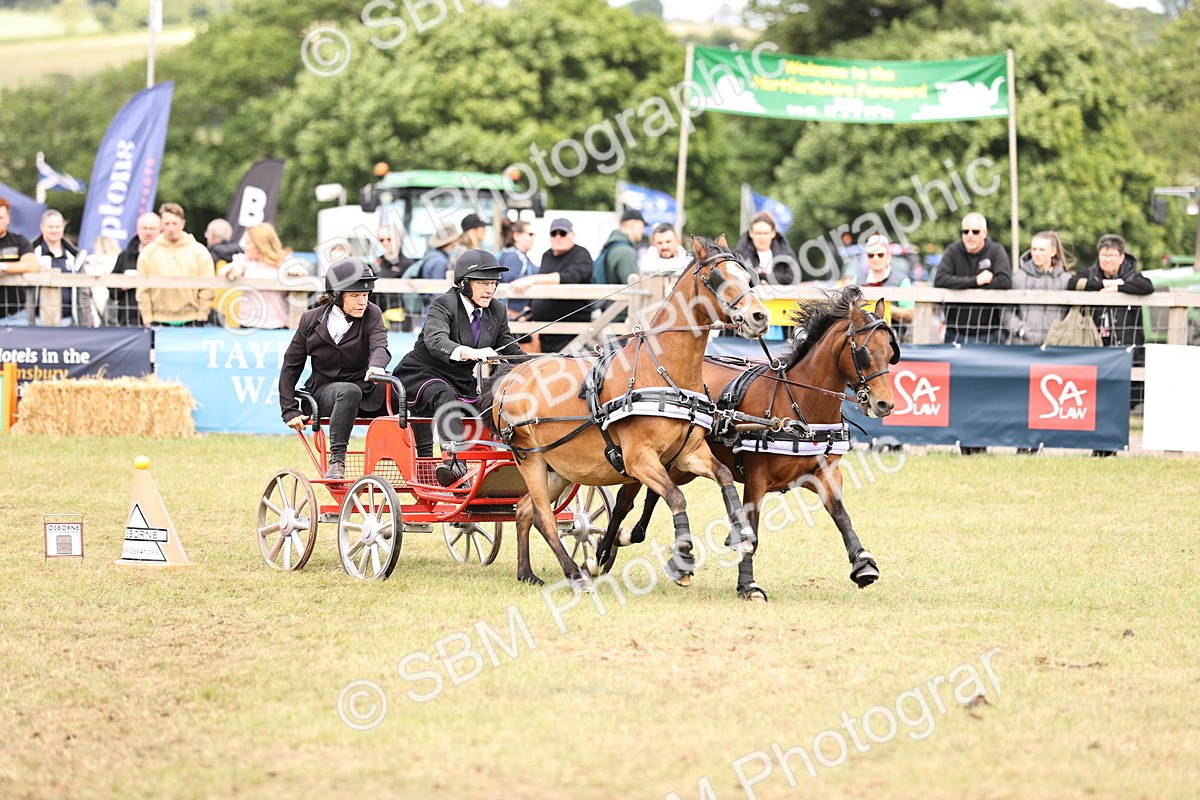 SBM_16096 - Class 91 - Scurry  exceeding 122cms