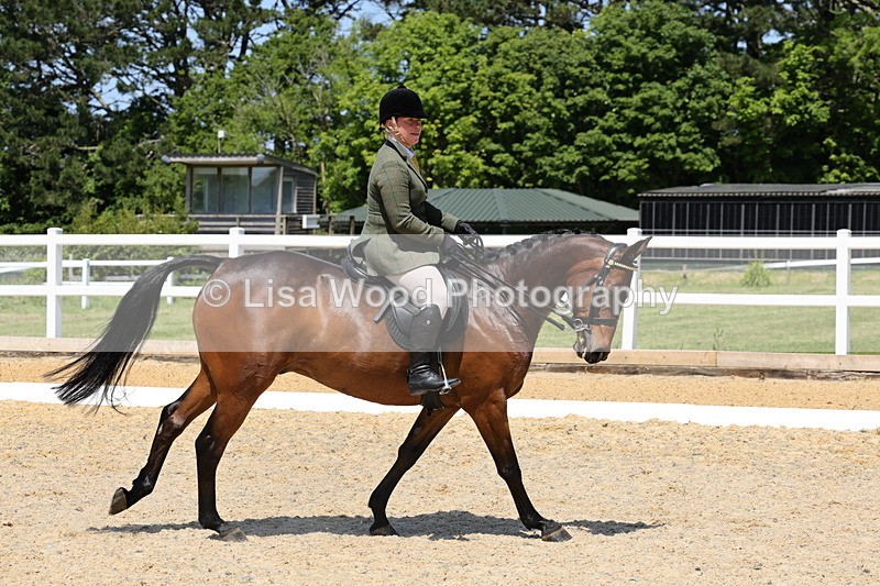 1X9A1830 - Class 12: Ridden Riding Horse/Hack