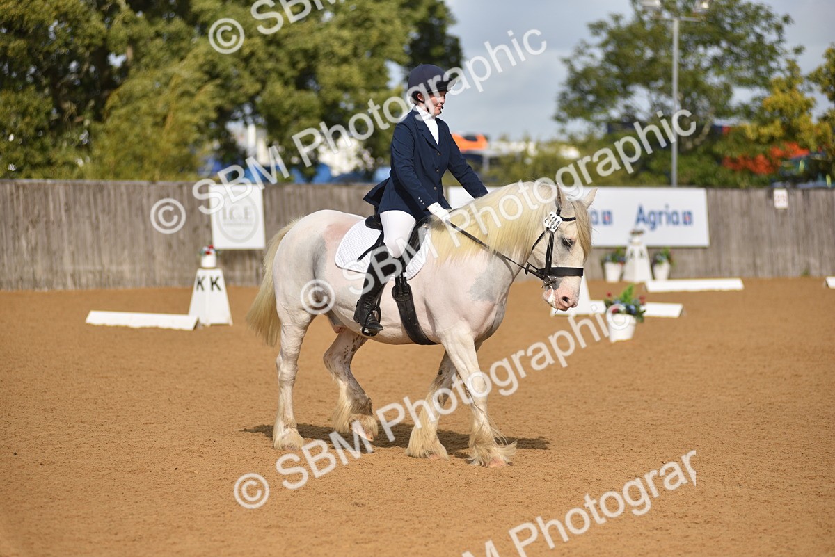 SBM_03199 - D4 - Small Tour Championship Intro 4