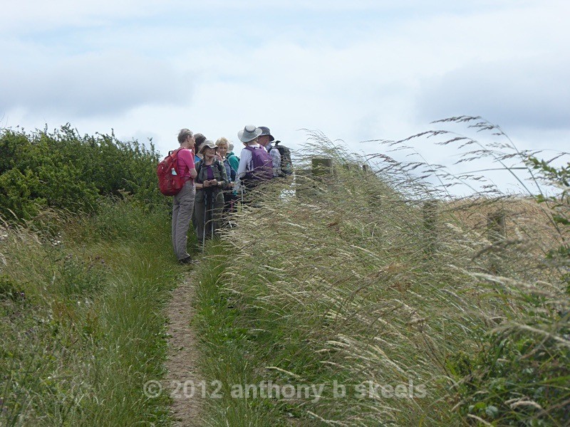 046 A regroup in the breeze before Hayburn Wyke - York Minster Walkers Collection 2025