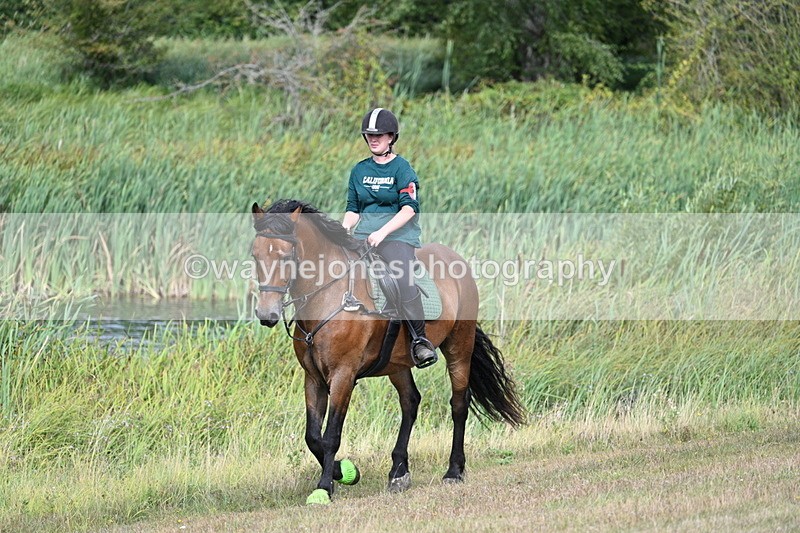 WJ7_4876 - Time 11:17 to 11:22