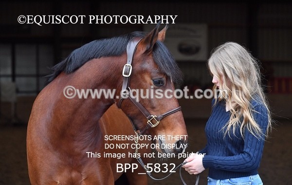 BPP_5832 - Marion West pony 3