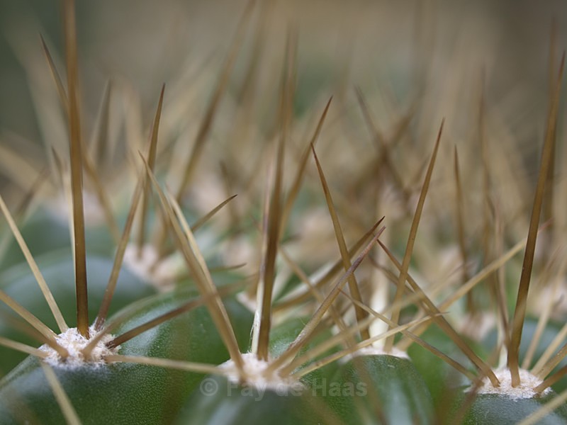  - Nature's Wonders