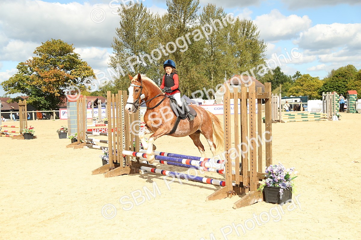 SBM_41357 - J6 - Junior Pony 55cm Championships