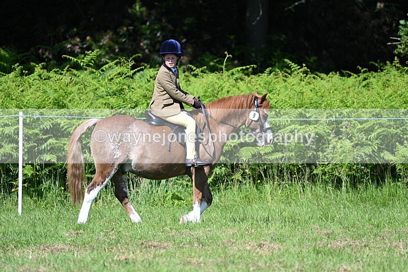 WJ7_0653 - Class 8 First Rally Pony