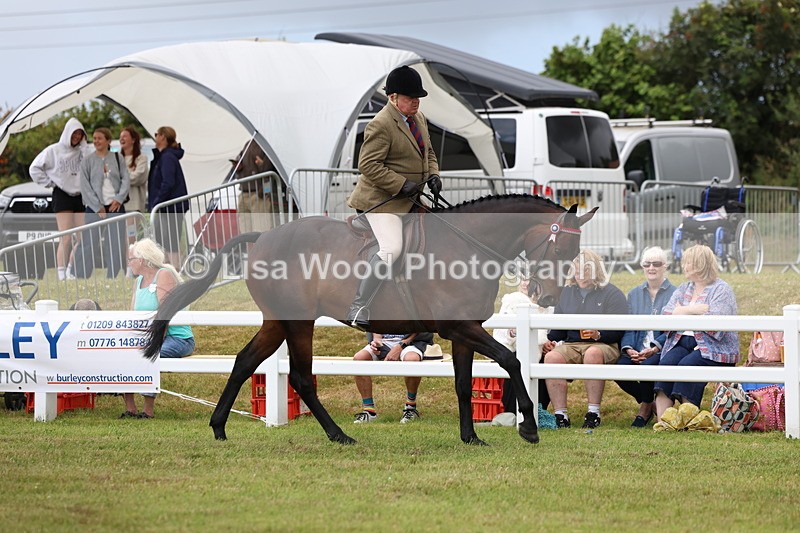 3E7A0923 - Class 8: Open Riding Horse/Hack