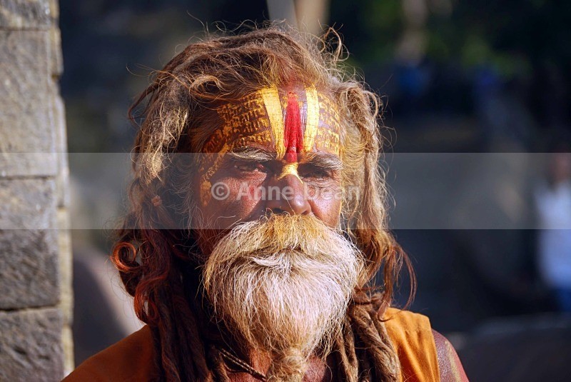 Impressive, eh? - Nepal