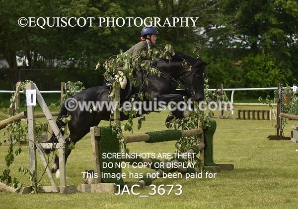 JAC_3673 - 75CM WORKING HUNTER