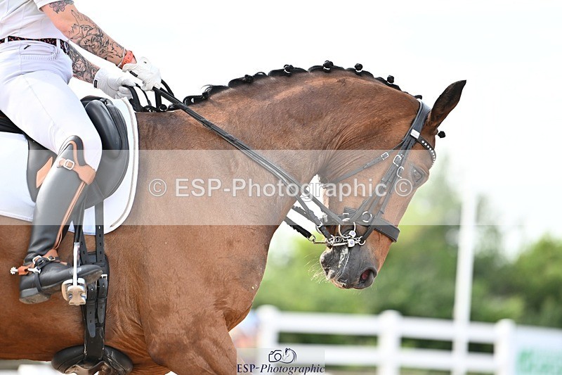 250620-173120-04984 - BD Cls 14 - Adv Medium 6