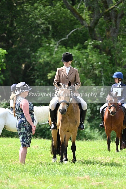 WJ7_1590 - Class 11 Condition & Turnout