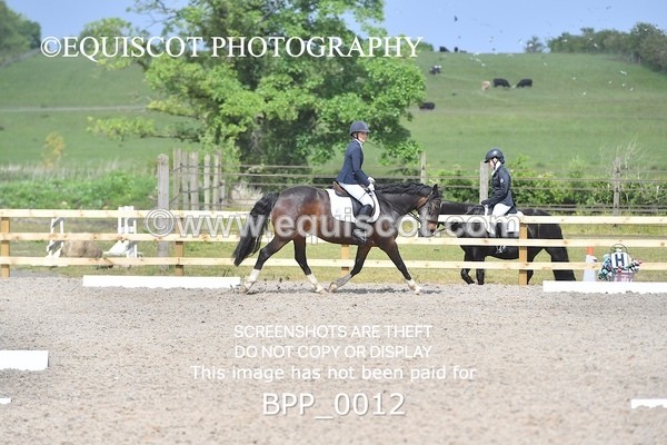 BPP_0012 - SHORT ARENA  MY QUEST PRELIM