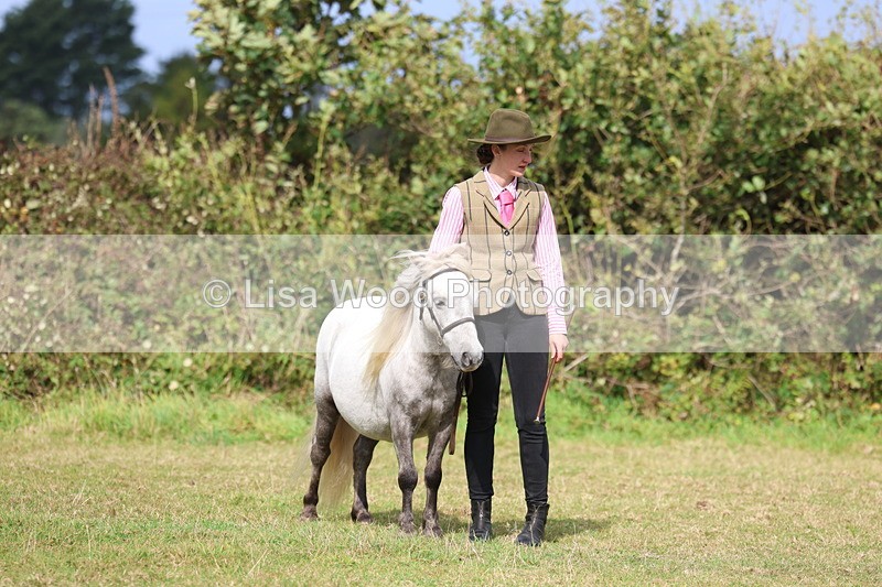 3E7A4444 - Class 15: Three Year Olds