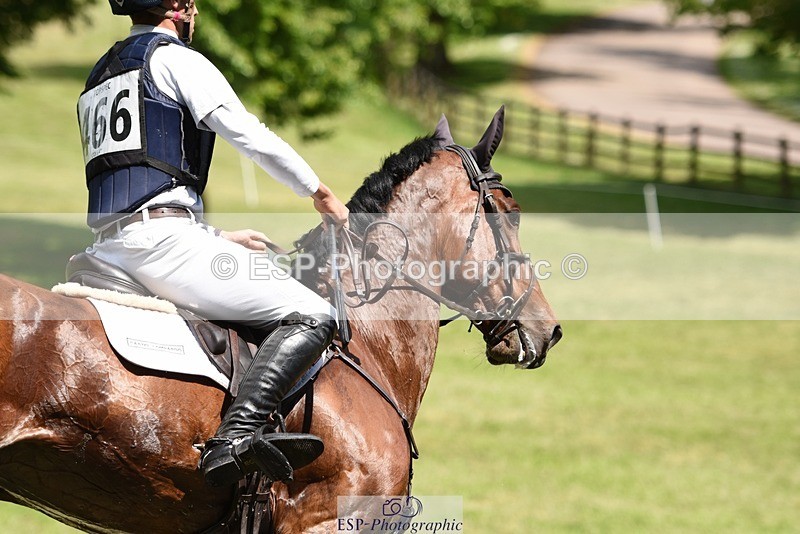 230528-135748-17911 - 466-BAMBINO_DE_L'ILATTE-Paolo_Torlonia-XC