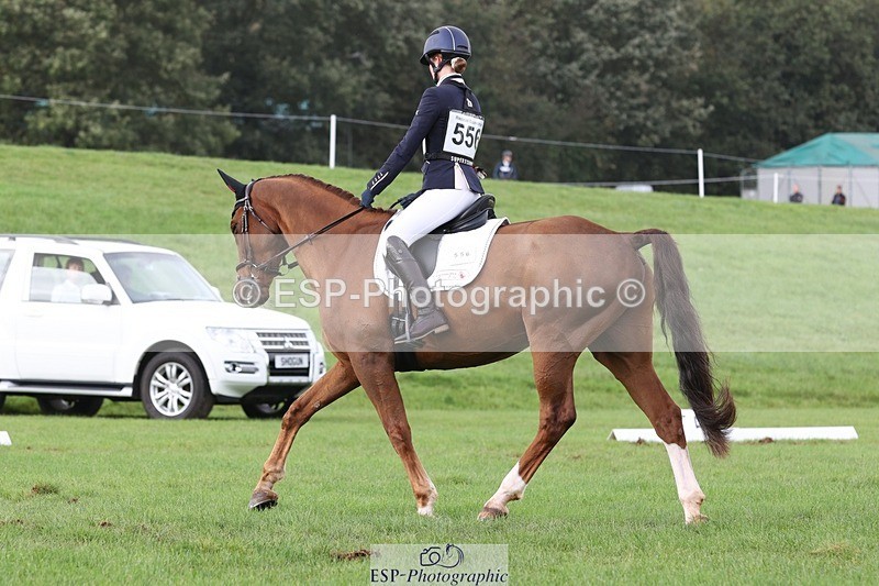 231019-153557-04936 - 556-SHANNONDALE.MOCHA-Lucy.Davies-DR