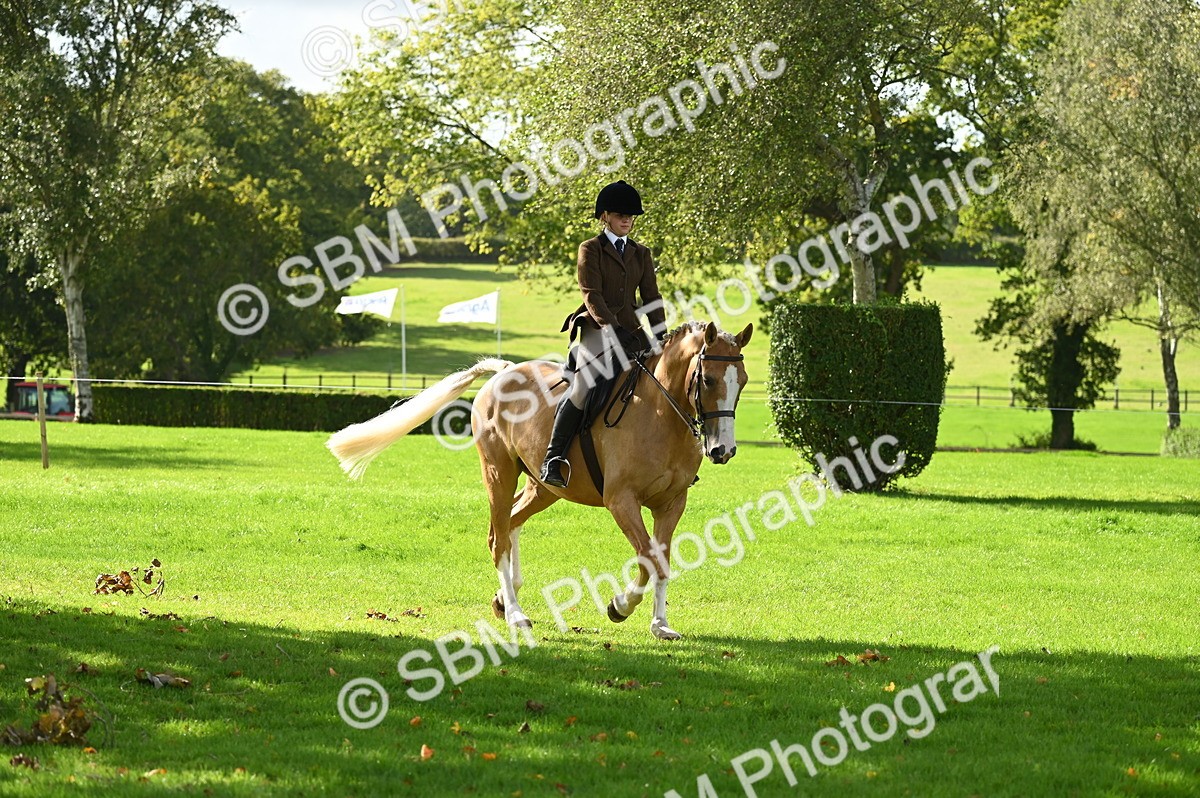 SBM_01538 - S2 - TSR Ridden Horse Showing