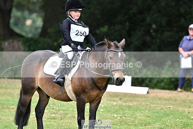 250820A-103010-02594 - Start to 11am