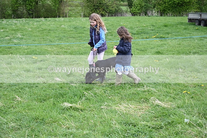 WJ6_8103 - Class 2 Best Pedigree