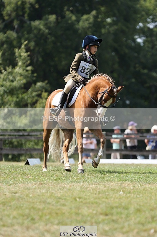 250823A-135557-31398 - Arena D