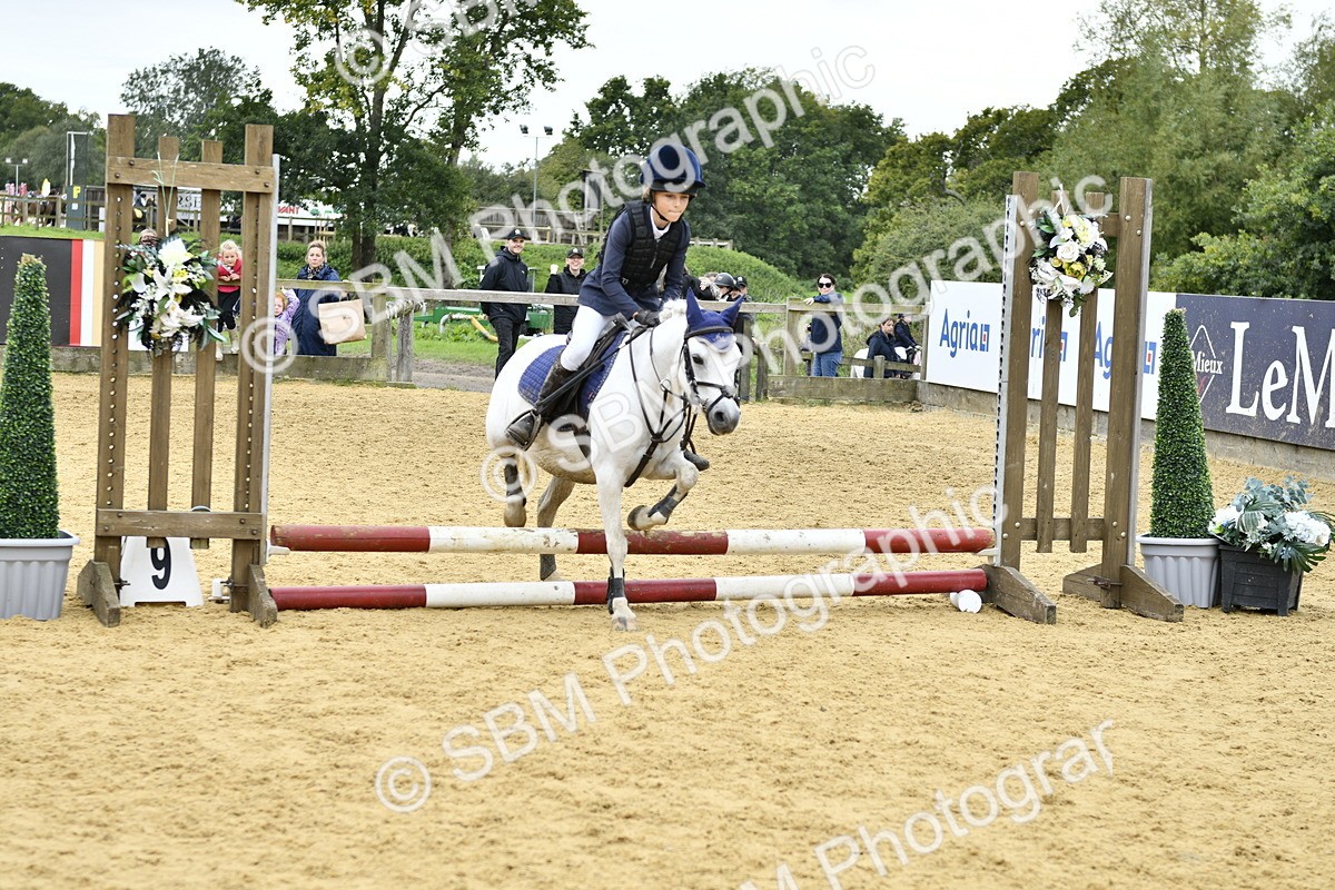 SBM_65502 - J2a mini Tour Junior Pony 30cm Championship