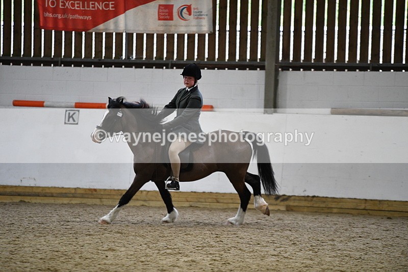 WJ5_7234 - Class 11 Ridden PC - RC Pony