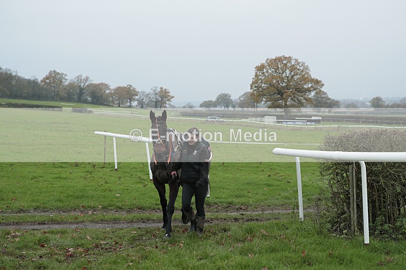 PtP 041222 0145 - Wheatland  Hunt PtP Chaddesley Corbett, Worcs 04/12/22