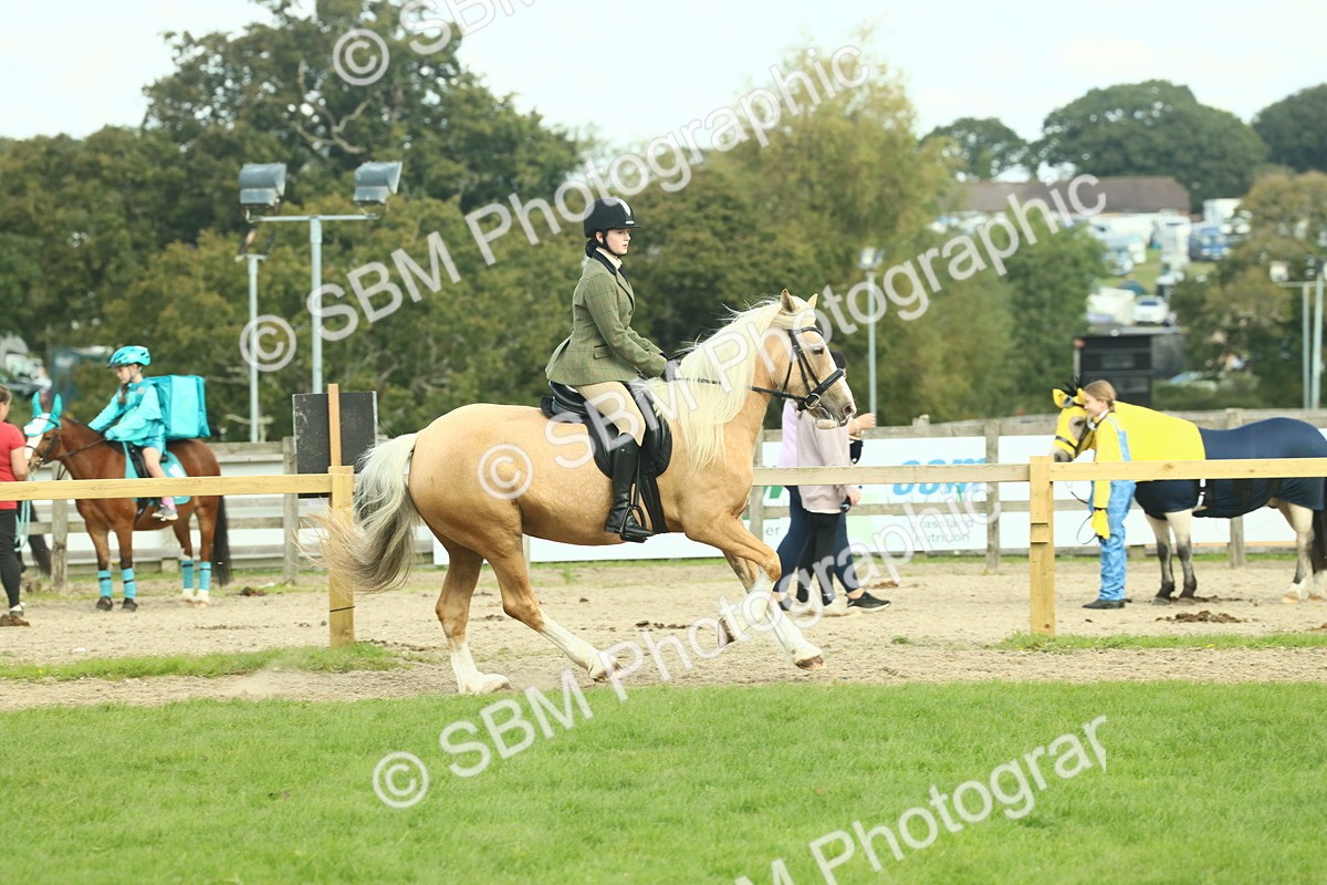 SBM_62662 - S63 - Other Coloured Horse Ridden