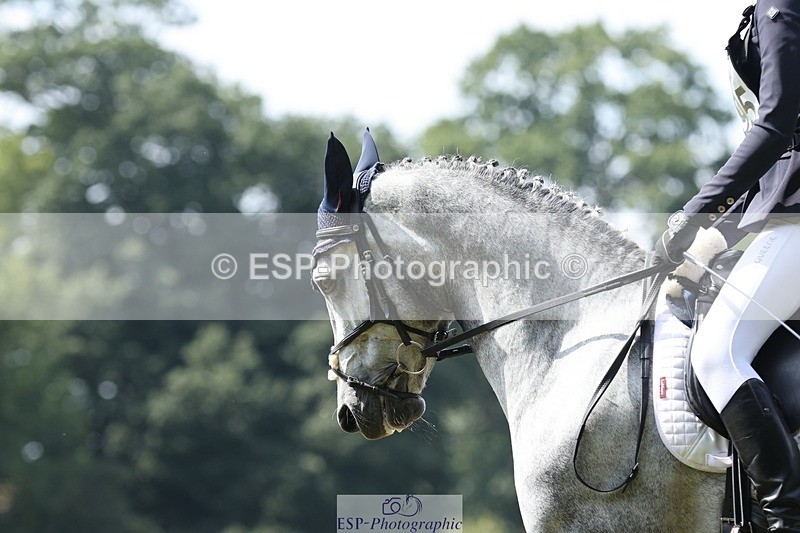 250823A-140814-31473 - Arena D