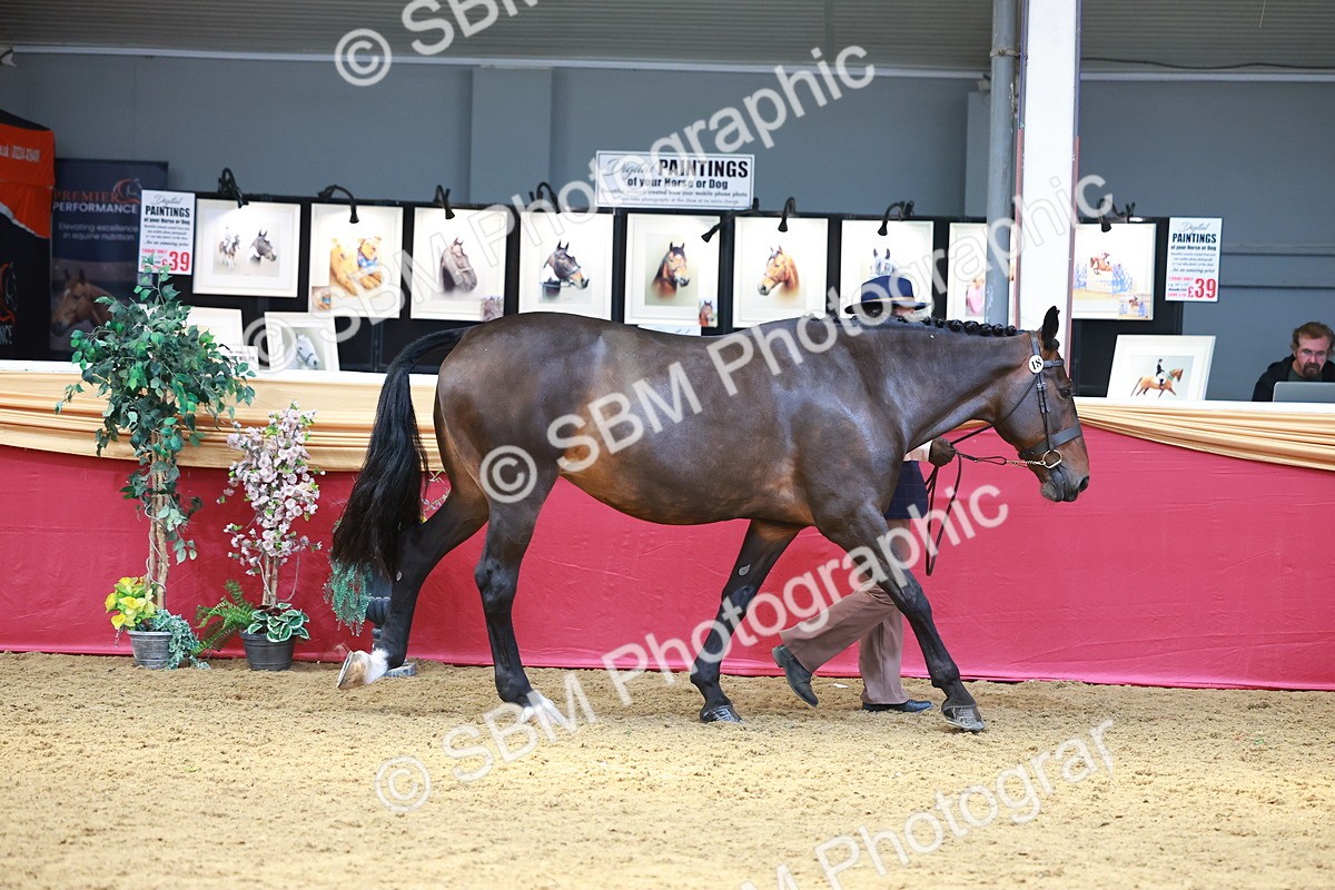 SBM_04165 - Class 9R - IH Pre-Vet
