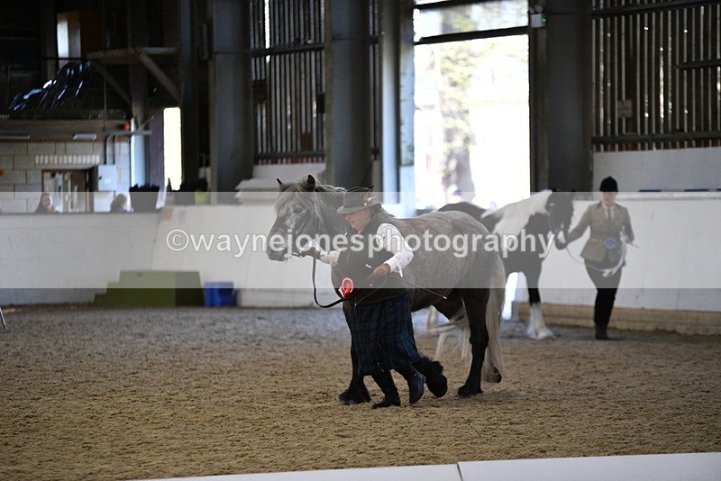 WJ5_3739 - Class 5 In Hand Veterans