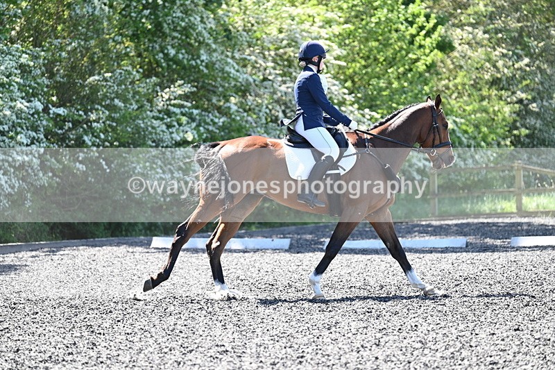 WJ7_9263 - Time 11:56 to 12:08