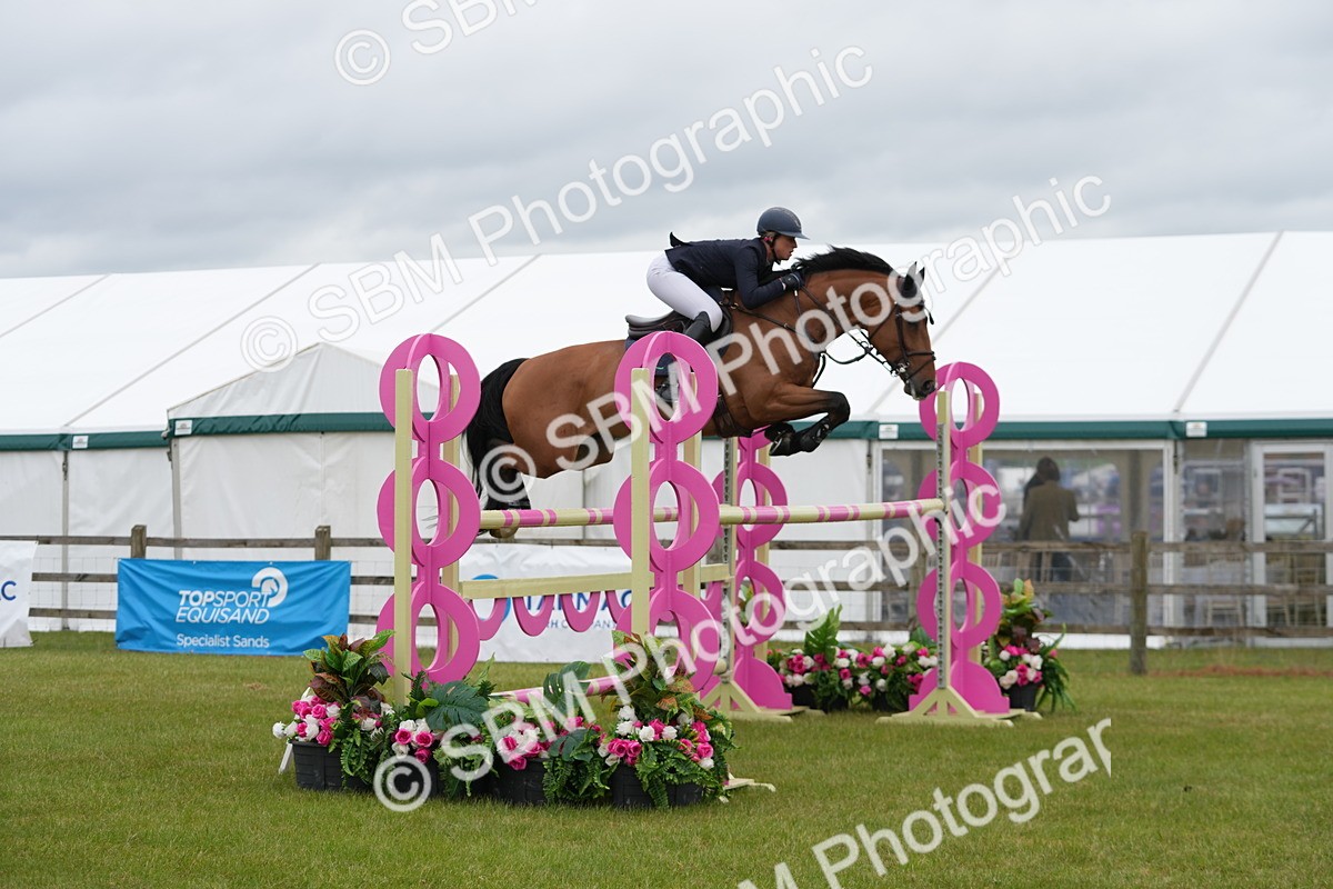 SBM_03255 - Class 201 - British Horse Feeds Speedi Beet Horse of the Year Show Grade  C