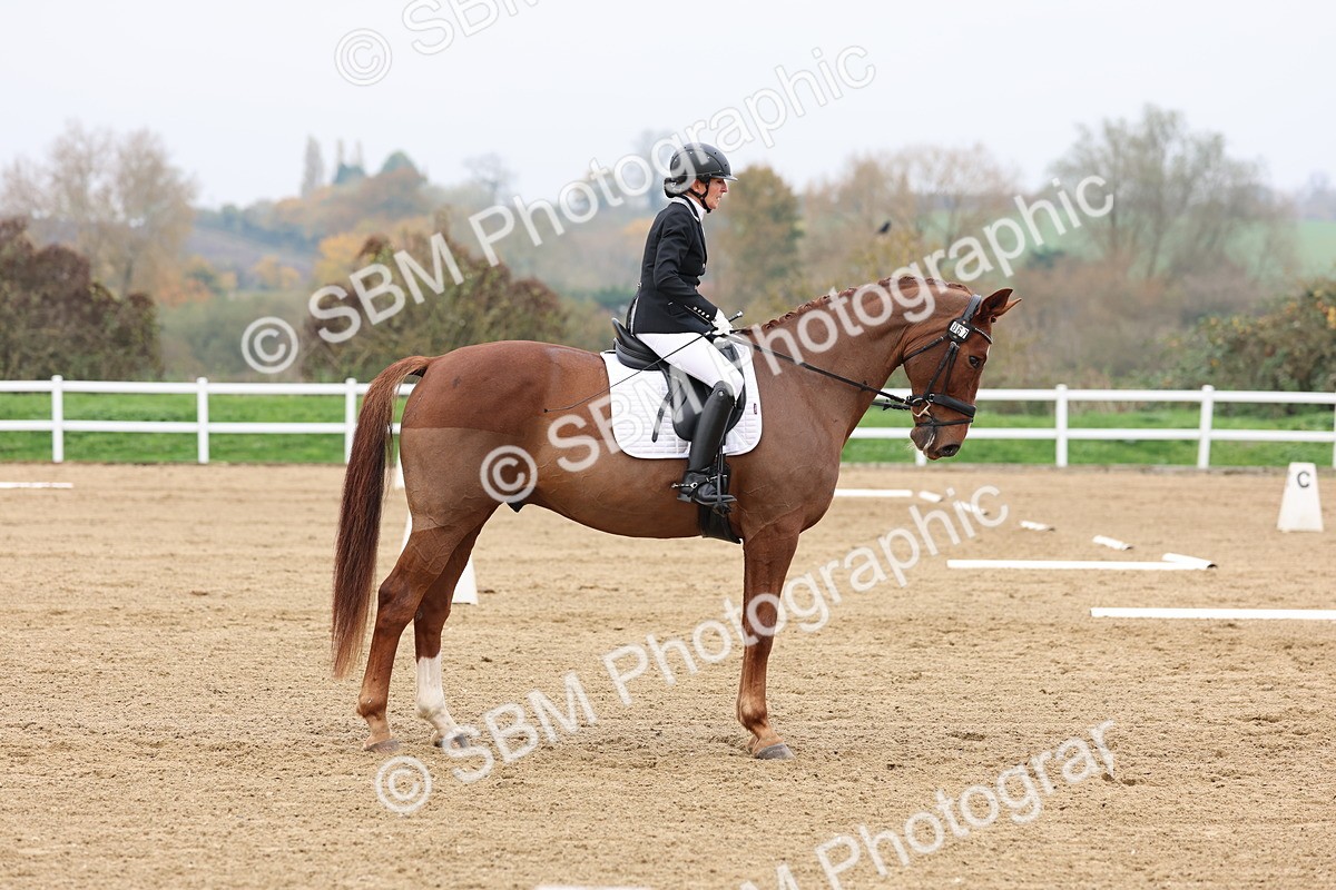 SBM_008442 - Class 11 - Medium 5